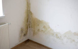 Cara Mengatasi Tembok Lembab dan Mengelupas